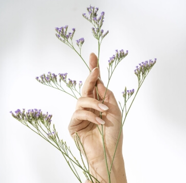 Mano con plantas