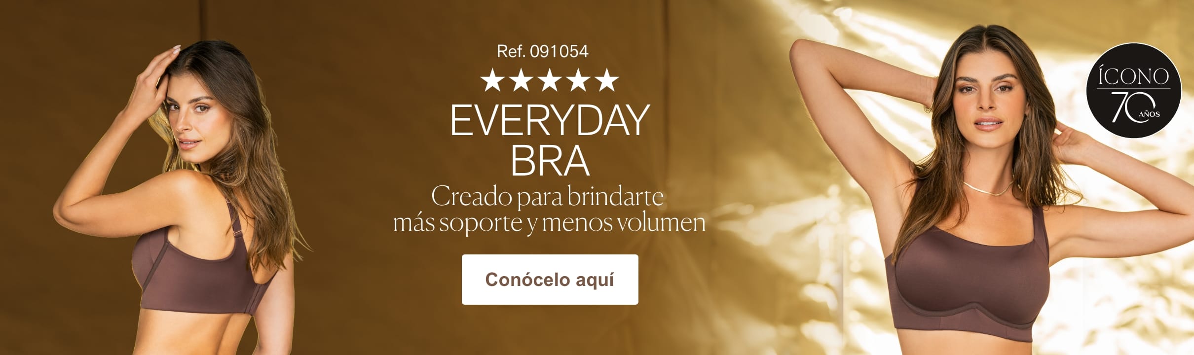 Bra icono