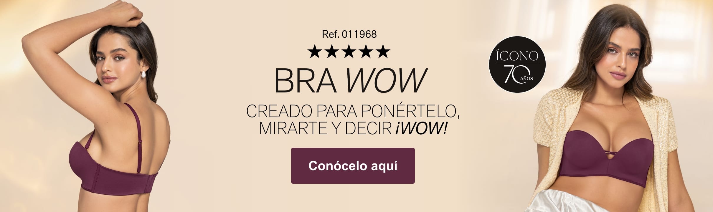 icono