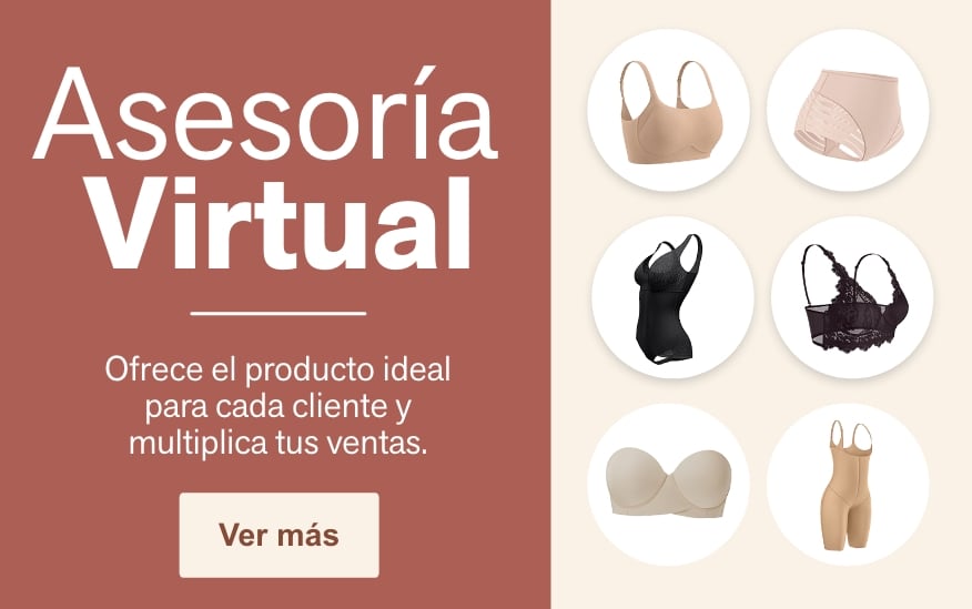 Asesoría virtual