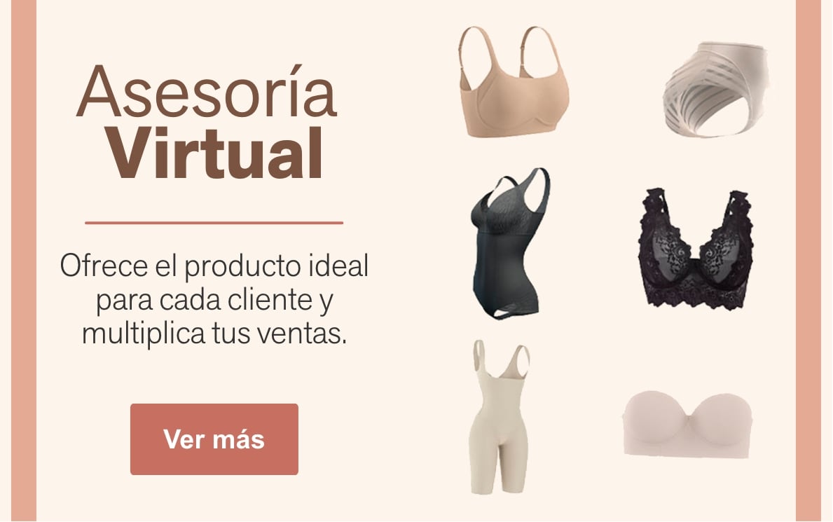 Asesoría virtual
