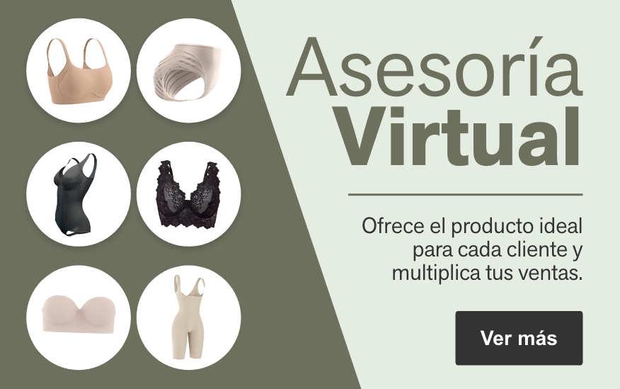Asesoría virtual