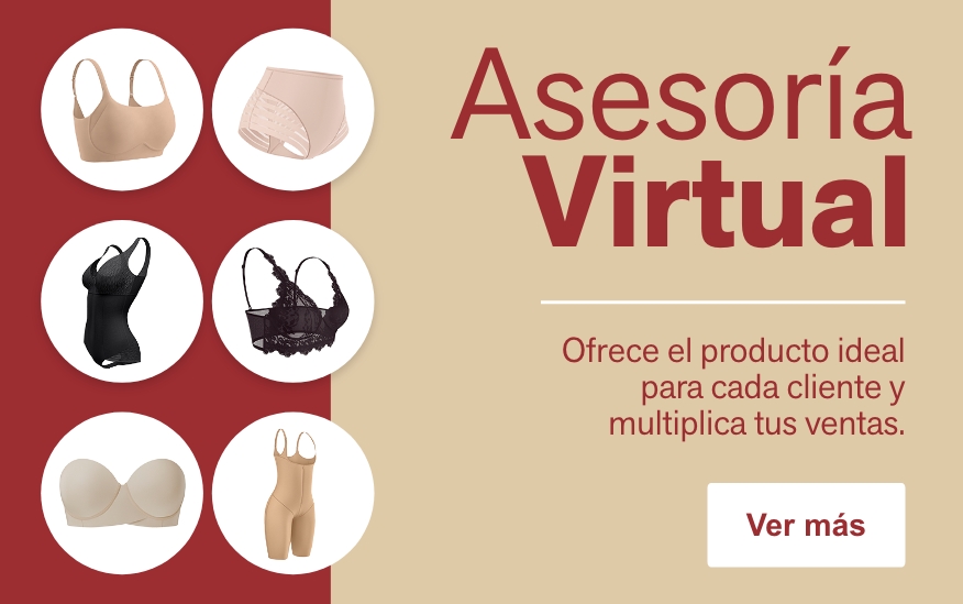 Asesoría virtual