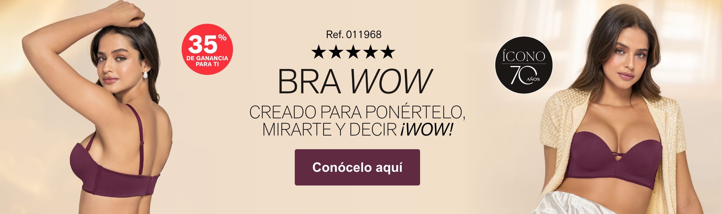 Bra ícono