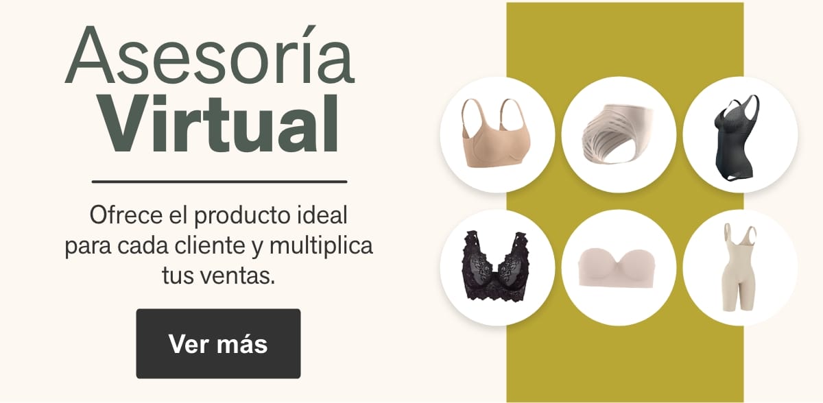 Asesoría virtual