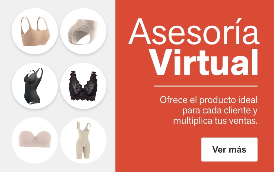 Asesoría virtual