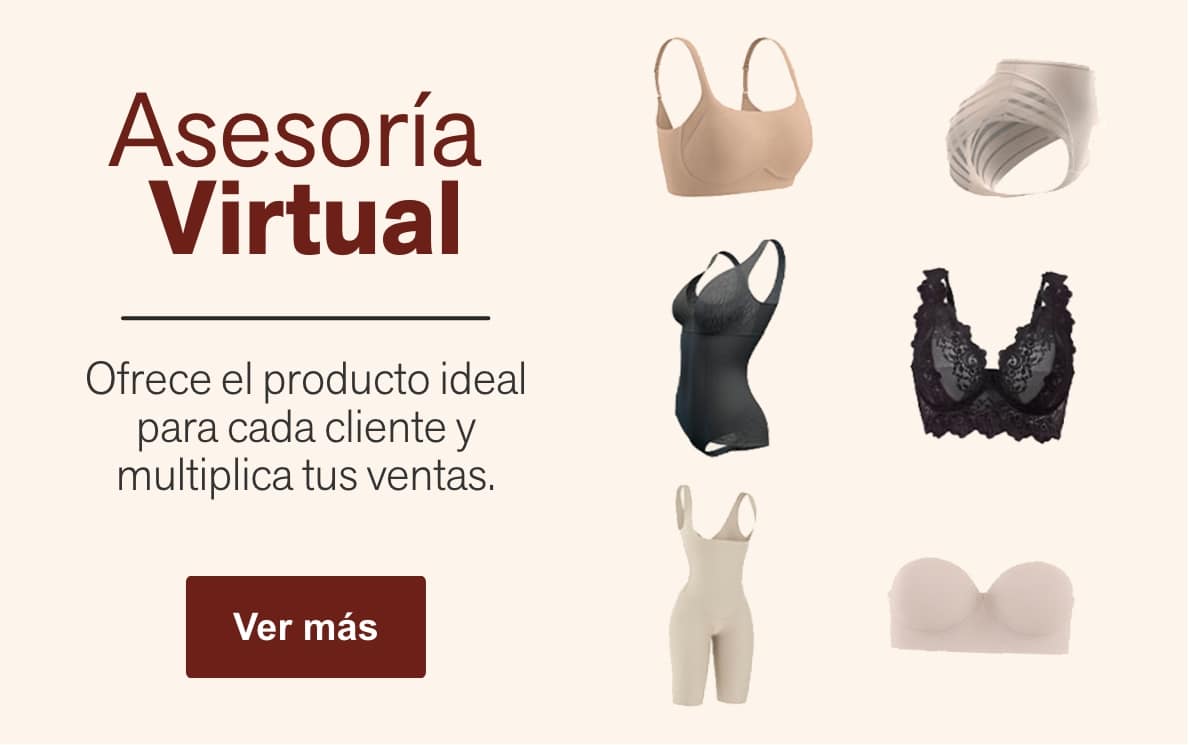 Asesoría virtual