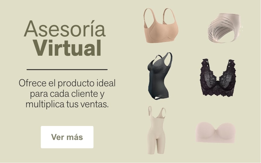 Asesoría virtual