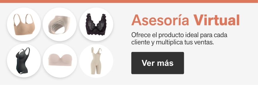Asesoría virtual