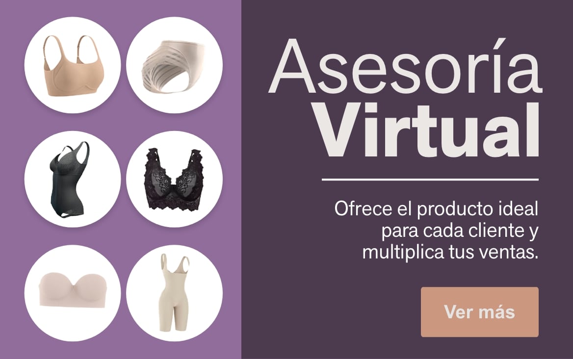 Asesoría virtual