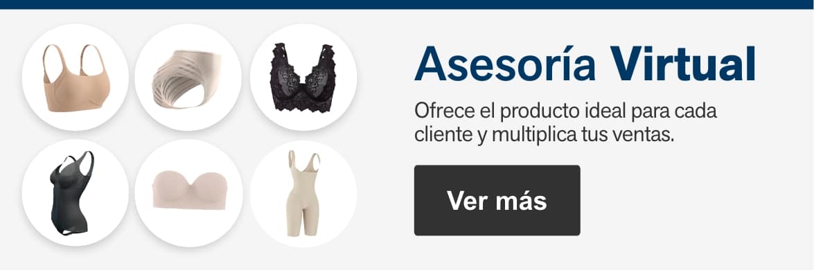Asesoría virtual