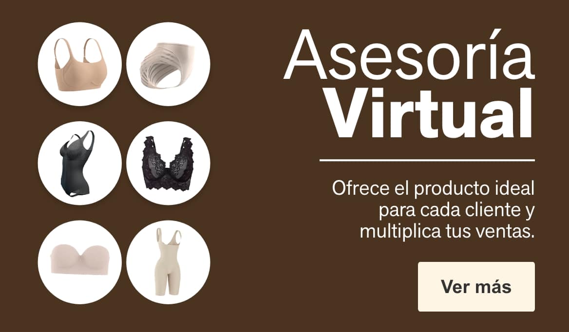 Asesoría virtual