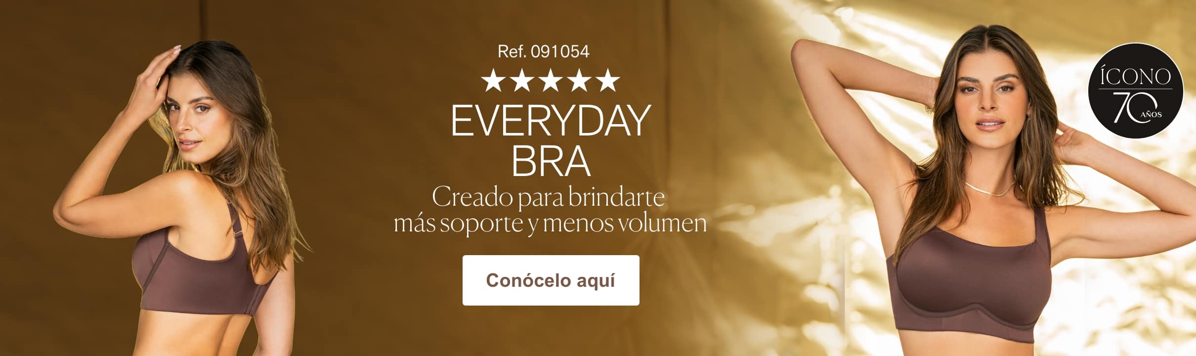 Bra ícono